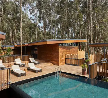 Piscina Gorillas Nest.