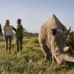 Infórmese sobre los rinocerontes blancos del norte protegidos en la reserva.