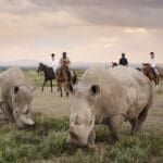 Se ofrecen safaris a caballo como actividad extra.