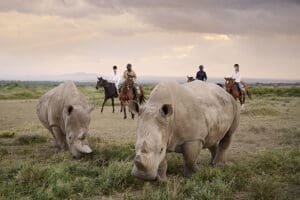 Se ofrecen safaris a caballo como actividad extra.