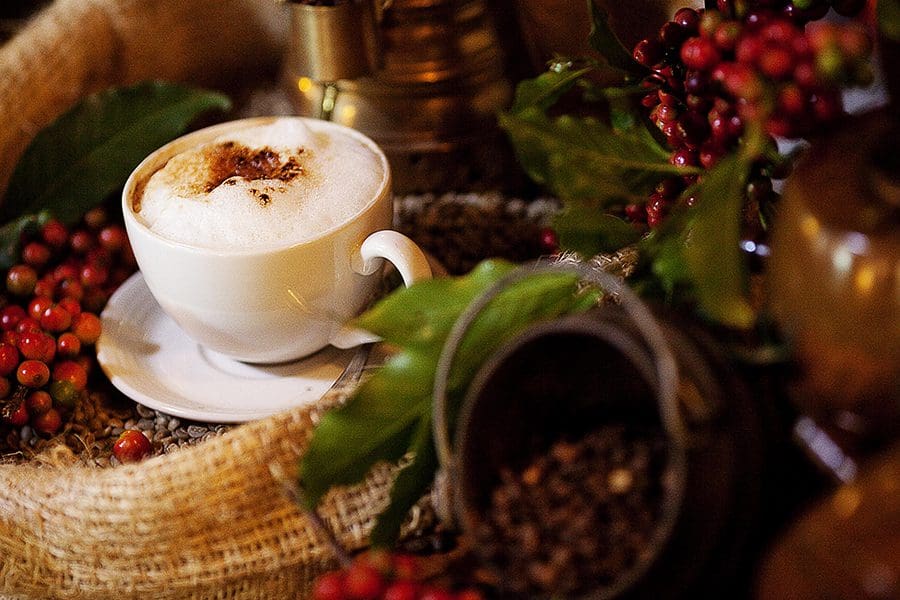 arusha_coffee_lodge_-_coffee_galore