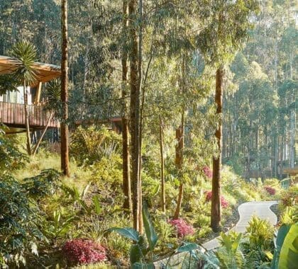 banner-OO_GorillasNest_Exteriors_Villa_Wide_17041_MASTER