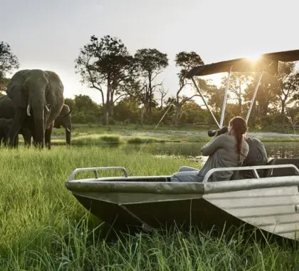 Sanctuary Retreats - Chobe Chilwero Lodge, Parque Nacional de Chobe, Botsuana