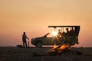 Night game drives in Etosha National Park.