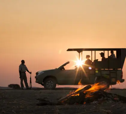 Safari nocturno en el Parque Nacional de Etosha.
