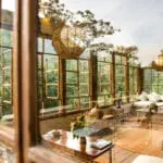 Gozo al aire libre | Bwindi Lodge