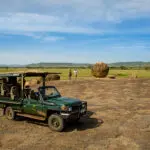 Explore the Serengeti.