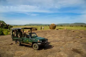 Explore the Serengeti.