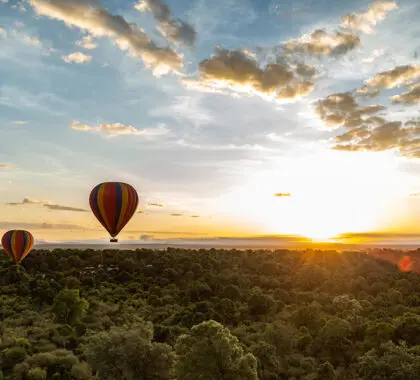 Take in the spectacular Mara scenery from the skies.