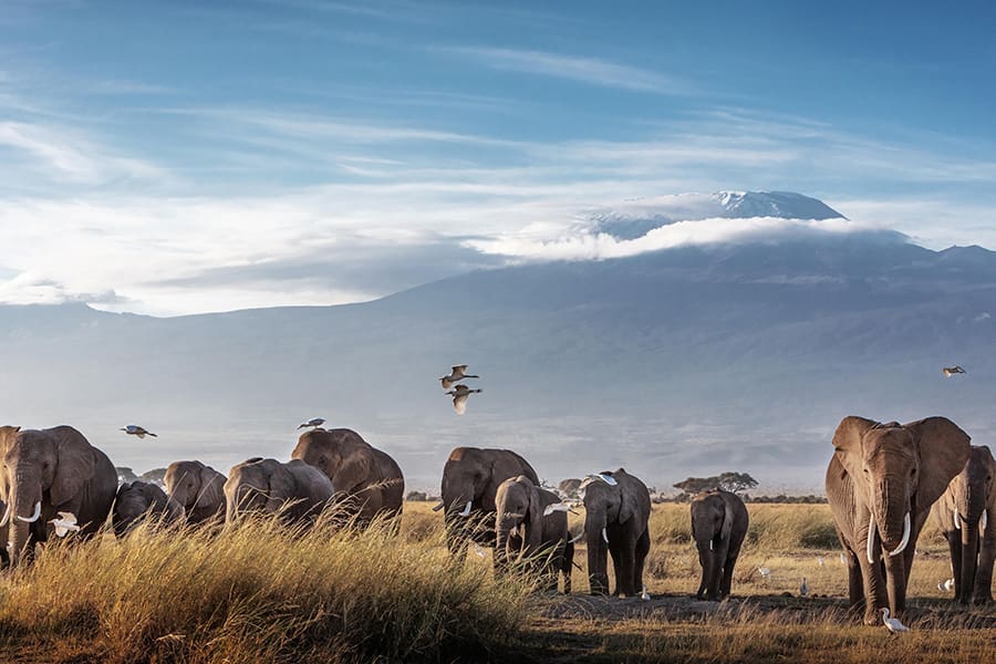 Arusha, Tanzania| Go2africa