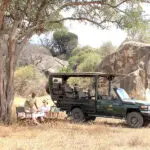 Game drive.