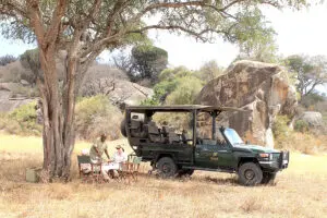 Game drive.