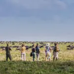 Walking safari with Mwiba Lodge.