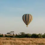 Explore the Serengeti from the air on a hot air balloon safari.