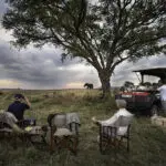 Drinks and snacks stops during a game drive.