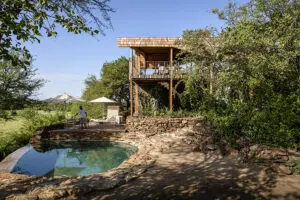 Stay at the multi-award-winning Singita Faru Faru.