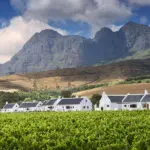 Stay in luxury suites that maintain their historic Cape Dutch architecture at Babylonstoren.