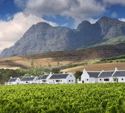 Alójese en suites de lujo que mantienen su arquitectura histórica del Cabo Holandés en Babylonstoren.