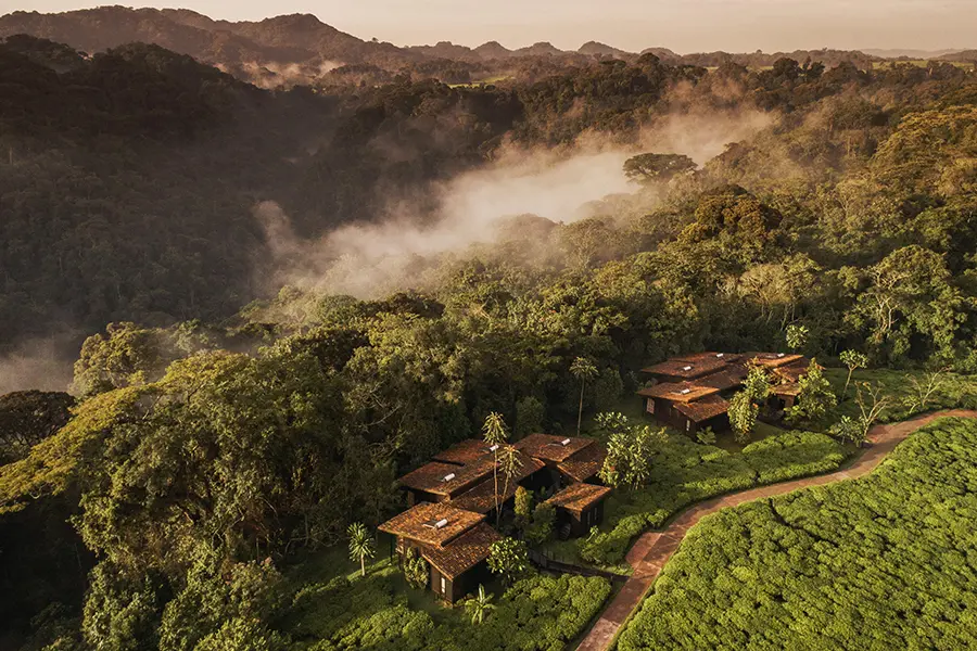 Vista aérea de "El país de las mil colinas", One & Only Nyungwe House | Go2Africa