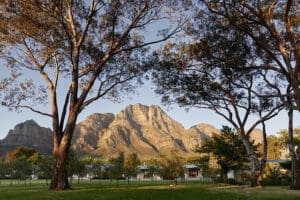 Estado Boschendal_140_0481
