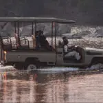 Thrilling game drives.