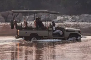 Thrilling game drives.