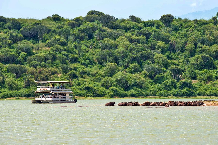 A boat cruising down the river overlooking wildlife with lush forest in the background | Go2Africa 