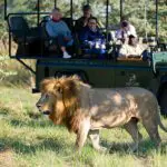 Incredible game viewing.