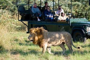 Incredible game viewing.