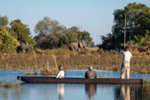 Explore the 'Venice of safari' on a mokoro.
