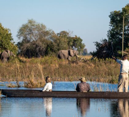 Explore the 'Venice of safari' on a mokoro.
