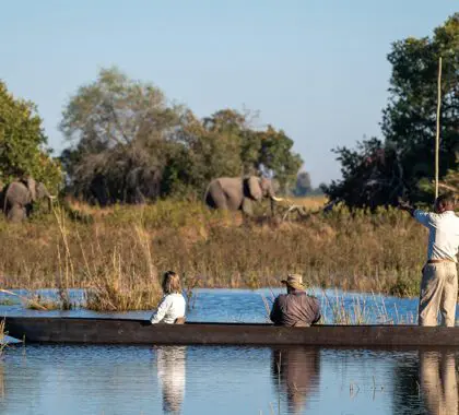 Explore la "Venecia de los safaris" a bordo de un mokoro.