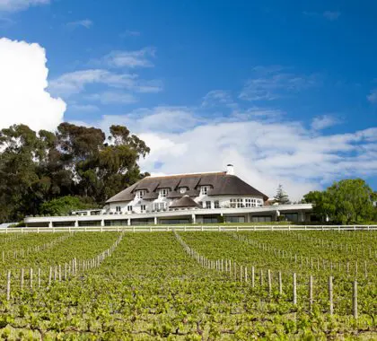 Mont-Rochelle-Hotel-Vineyard