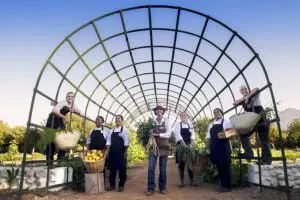 La cosecha matutina en la granja Babylonstoren.