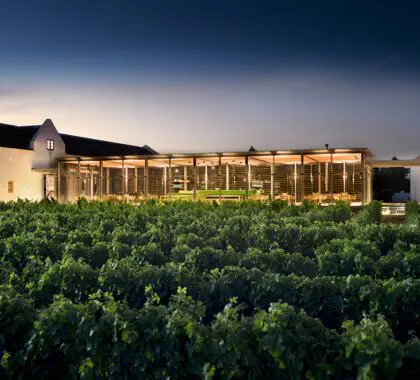 Bodegas galardonadas.