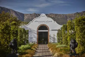 Vino de Leeu Estates.