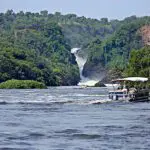 Um cruzeiro panorâmico no rio Nilo em Murchison Falls | Paraa Safari Lodge