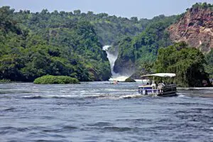 Um cruzeiro panorâmico no rio Nilo em Murchison Falls | Paraa Safari Lodge