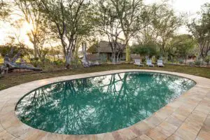 The swimming pool.