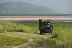 Lake Manyara game  drive.