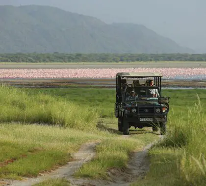 Safari por el lago Manyara.