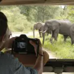 Big 5 viewing.
