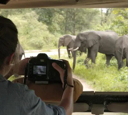 Lake Manyara Tree Lodge, Tanzania