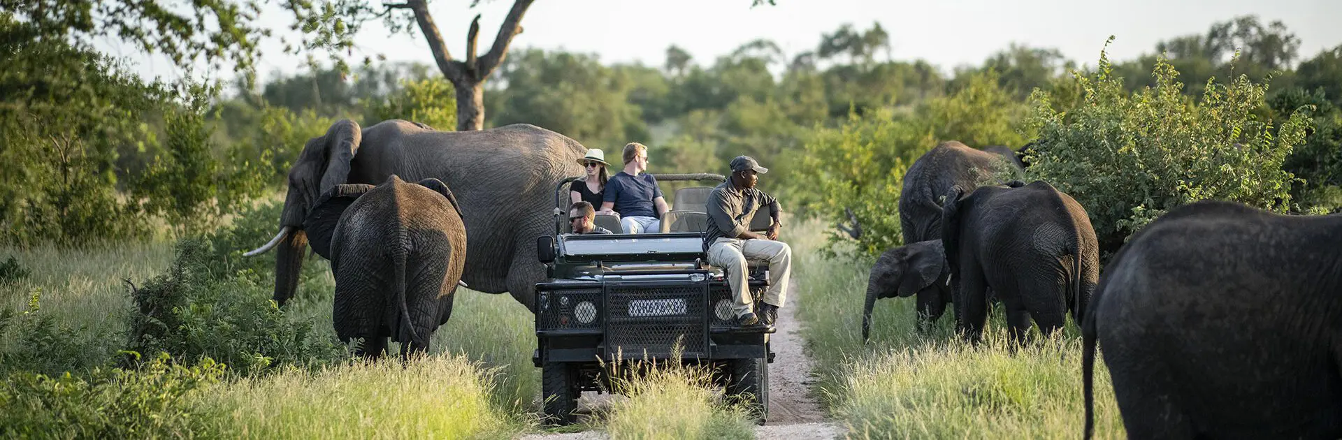 Simbavati Camp George, South Africa