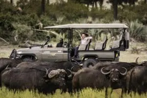 Los avistamientos nunca están lejos en Mombo Camp | Mombo Camp