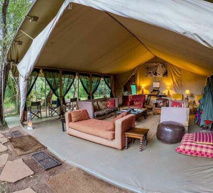 Lounge-area-at-the-Nairobi-Tented-Camp