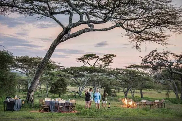 Dinner and a campfire.
