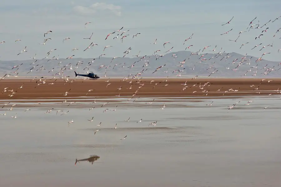 Helicopter safari in Samburu National Reserve, Kenya | Go2Africa