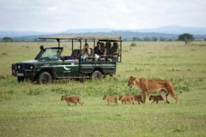 Safari en el Grumeti con leona y cachorros.