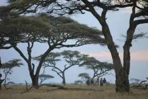 kimondo-safari-senderista